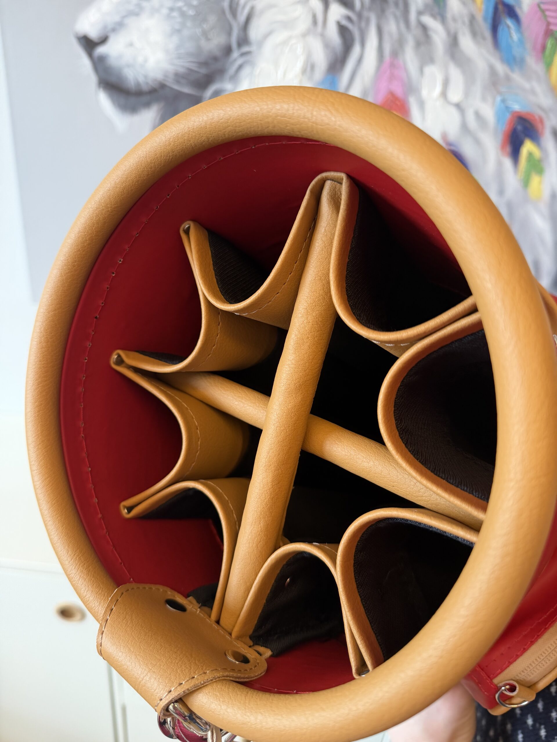 G Z1 CS Sport Premium Kompakt 12erTlg. rot-natur TR - Image 5